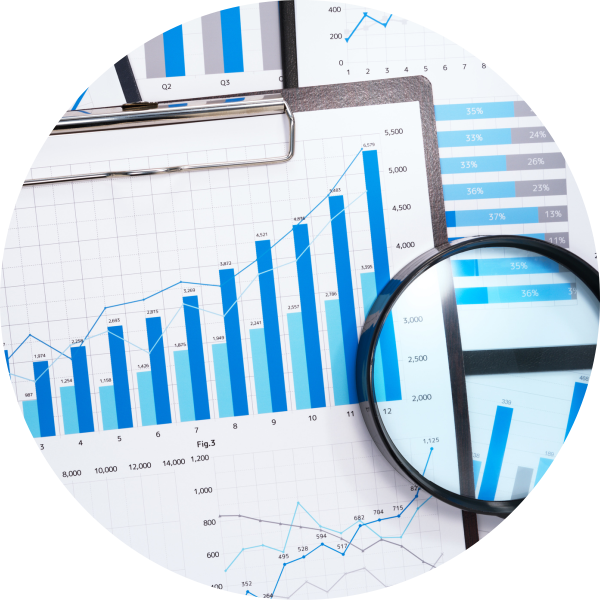 2focusplus pesquisa de mercados (market research)